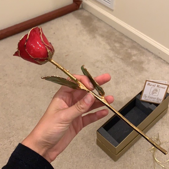 Forever Rose - Picture 3 of 9